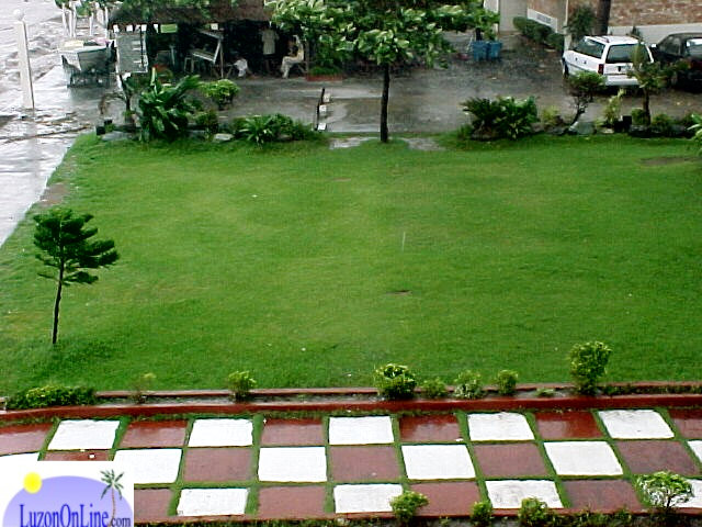 Grass Area In Front Of Suzuki Hotel