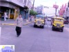 Yellow Jeepneys