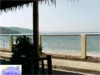 View From Playa <br>Papagayo Hotel