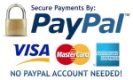 PayPal Solution